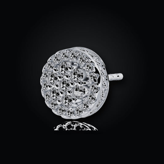 Iced Stud Earrings | Moissanite